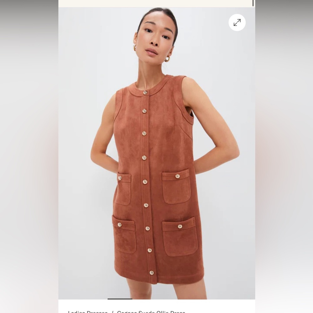 Tuckernuck Cognac Suede Ollie Dress NWT